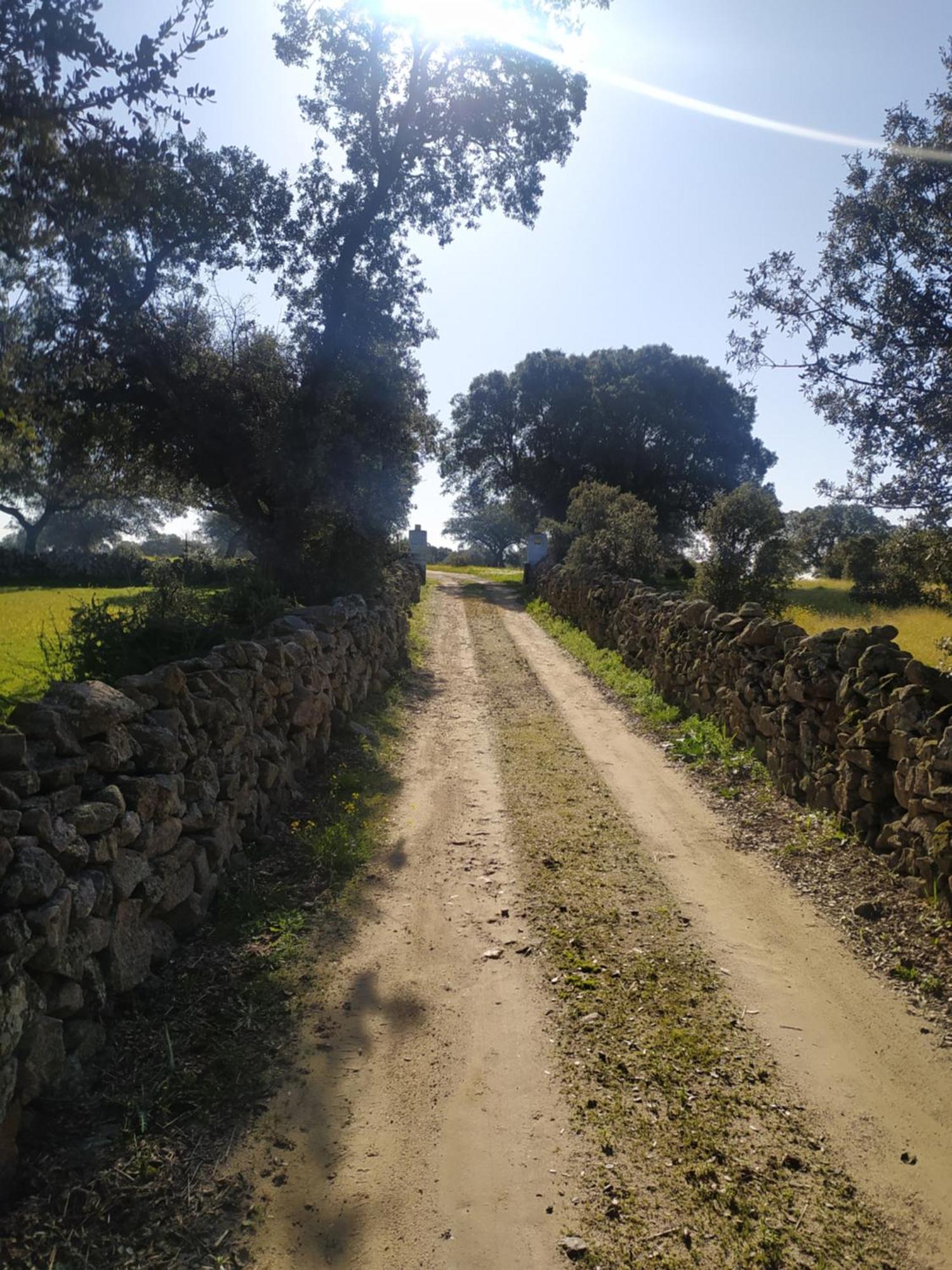Finca Las Gamitas Almoharin 외부 사진
